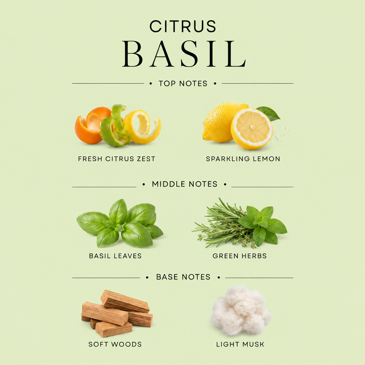 Citrus Basil Candle, 3-Wick